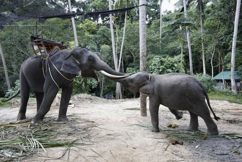 30 lugares para visitar en Tailandia