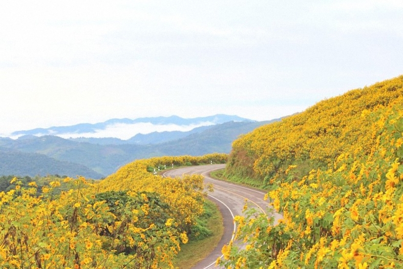 30 lugares para visitar en Tailandia