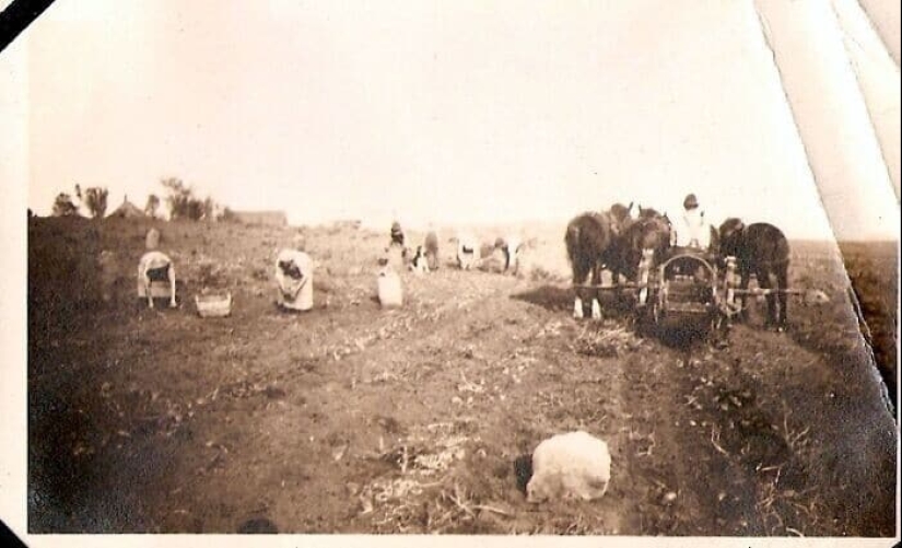 30 oldest photos from family archives