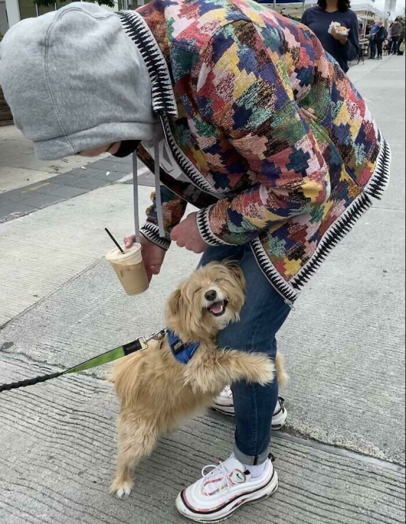 30 touching photo stories that will definitely restore your faith in humanity 30 touching photo stories that will definitely restore your faith in humanity