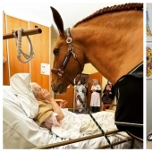 30 touching photo stories that will definitely restore your faith in humanity 30 touching photo stories that will definitely restore your faith in humanity