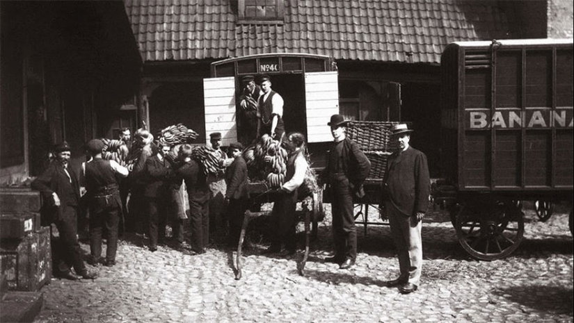 35 fotos de archivo que capturaron momentos históricos raros 35 fotos de archivo que capturaron momentos históricos raros