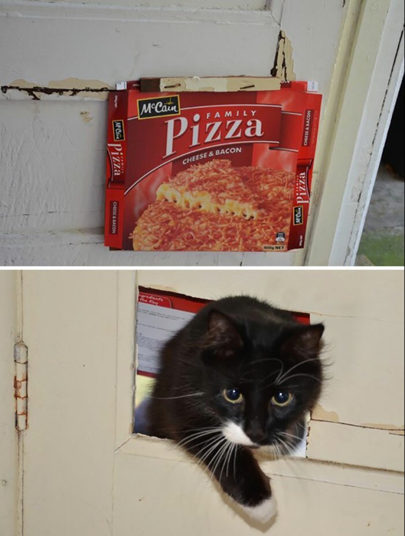 35 photos about what kind of horror you can meet in rented apartments