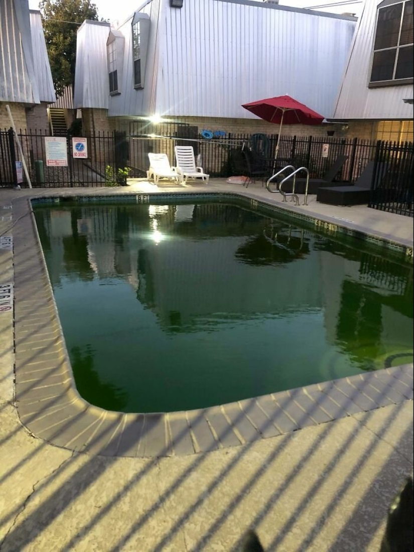 35 photos about what kind of horror you can meet in rented apartments
