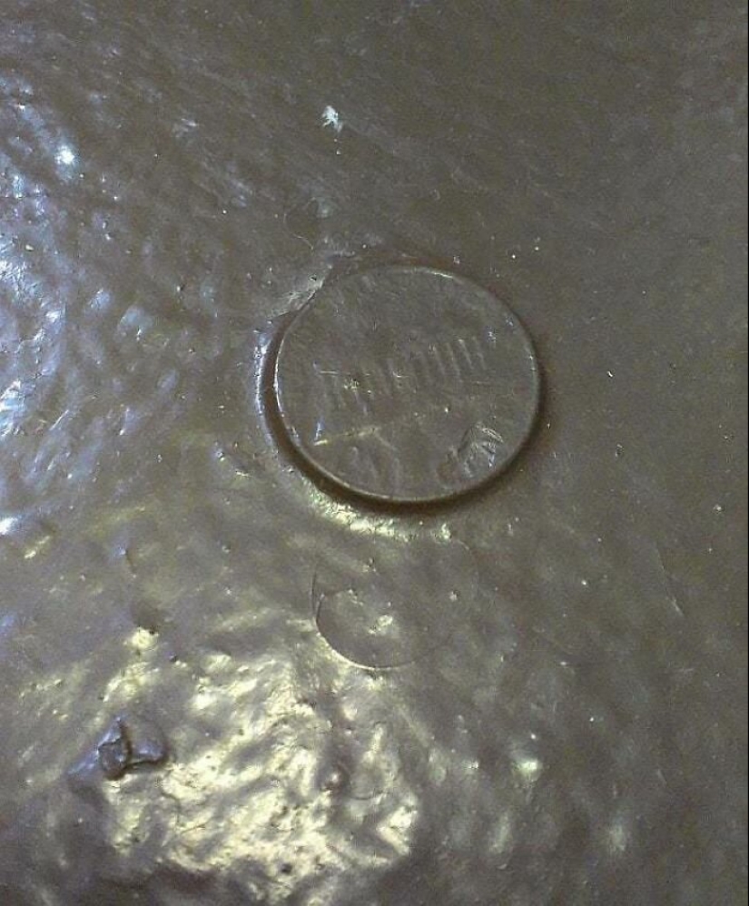 35 photos about what kind of horror you can meet in rented apartments