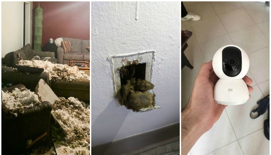 35 photos about what kind of horror you can meet in rented apartments 35 photos about what kind of horror you can meet in rented apartments