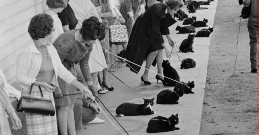 35 strange and entertaining facts from the Weird History account that history lovers will appreciate 35 strange and entertaining facts from the Weird History account that history lovers will appreciate