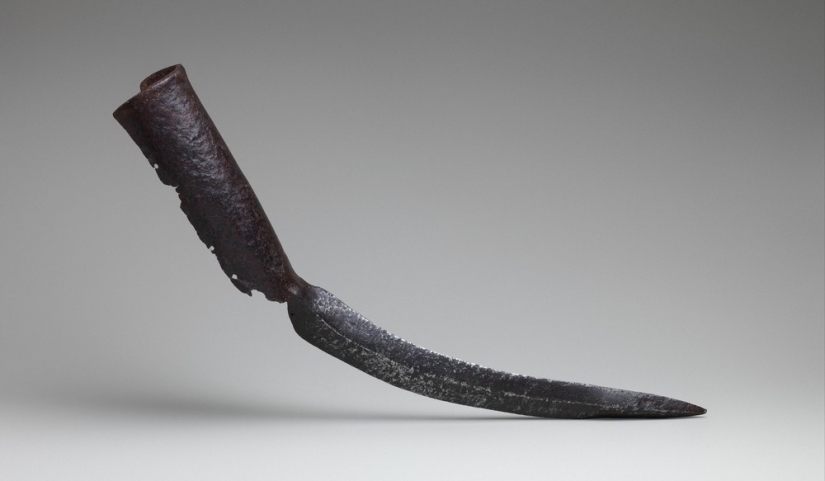 35 strange and entertaining facts from the Weird History account that history lovers will appreciate 35 strange and entertaining facts from the Weird History account that history lovers will appreciate