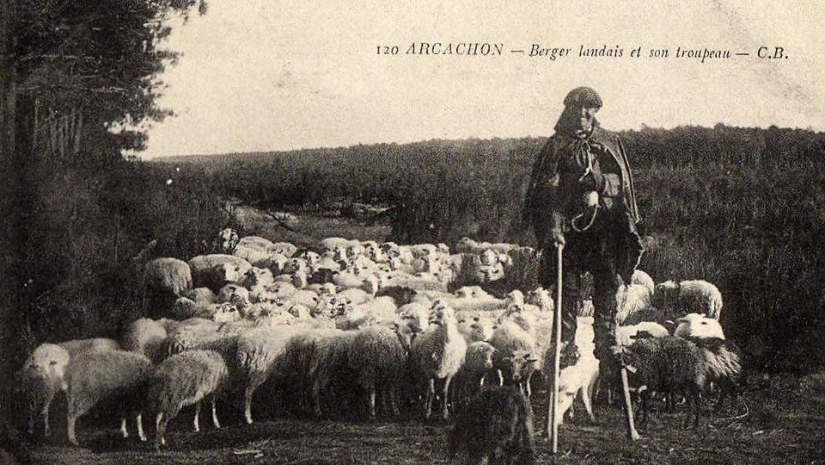 35 strange and entertaining facts from the Weird History account that history lovers will appreciate 35 strange and entertaining facts from the Weird History account that history lovers will appreciate