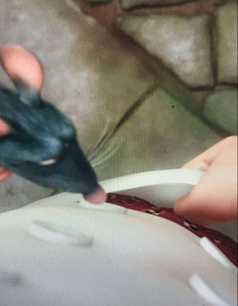 35 subtle details in the cartoon "Ratatouille" that you probably didn't notice 35 subtle details in the cartoon "Ratatouille" that you probably didn't notice