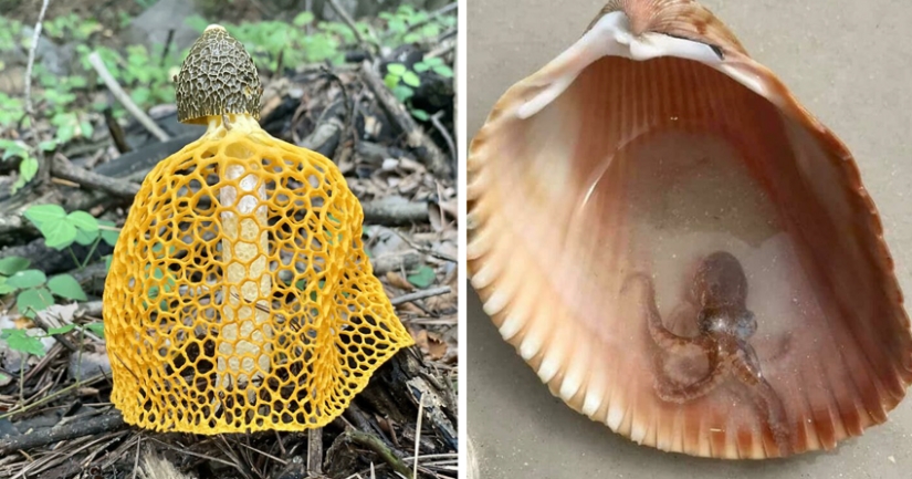 35 unexpected finds that people have shared online