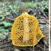 35 unexpected finds that people have shared online 35 unexpected finds that people have shared online