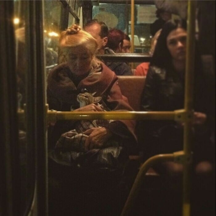 36 times when she just wanted to take a picture, but it turned out a Renaissance painting 36 times when she just wanted to take a picture, but it turned out a Renaissance painting