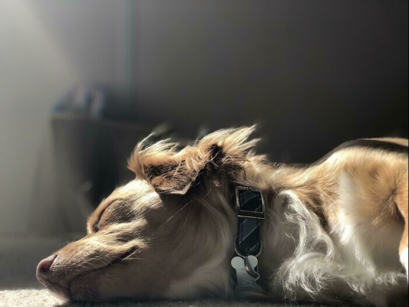 36 times when she just wanted to take a picture, but it turned out a Renaissance painting 36 times when she just wanted to take a picture, but it turned out a Renaissance painting