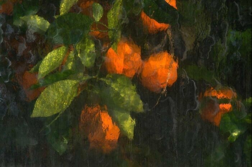 36 veces cuando ella sólo quería tomar una foto, pero resultó una pintura del Renacimiento 36 veces cuando ella sólo quería tomar una foto, pero resultó una pintura del Renacimiento