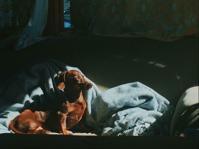 36 veces cuando ella sólo quería tomar una foto, pero resultó una pintura del Renacimiento 36 veces cuando ella sólo quería tomar una foto, pero resultó una pintura del Renacimiento