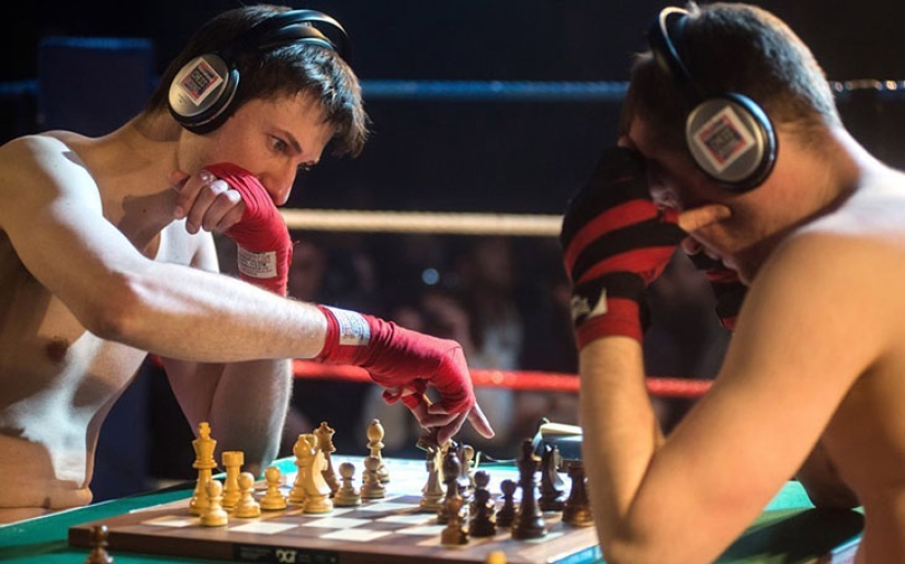 4 datos sobre el ajedrez-boxeo: un híbrido inusual de ajedrez y boxeo 4 datos sobre el ajedrez-boxeo: un híbrido inusual de ajedrez y boxeo