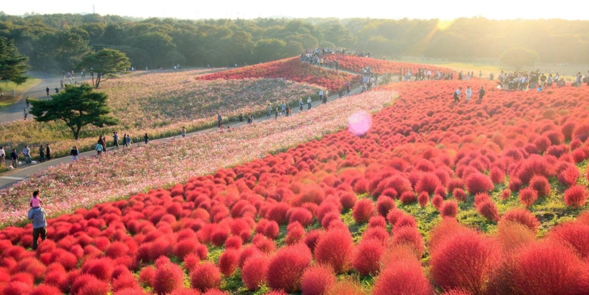 40 places worth visiting before the age of 40 40 places worth visiting before the age of 40