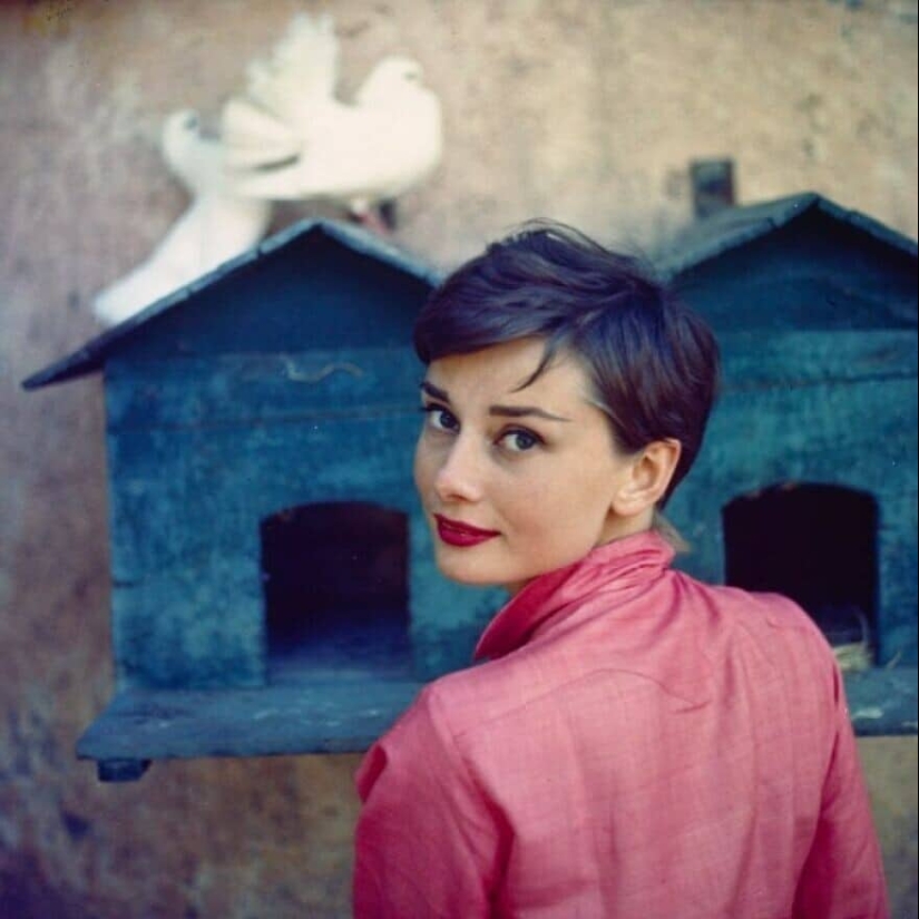 40 retratos de las celebridades más carismáticas del siglo XX por Philip Halsman 40 retratos de las celebridades más carismáticas del siglo XX por Philip Halsman