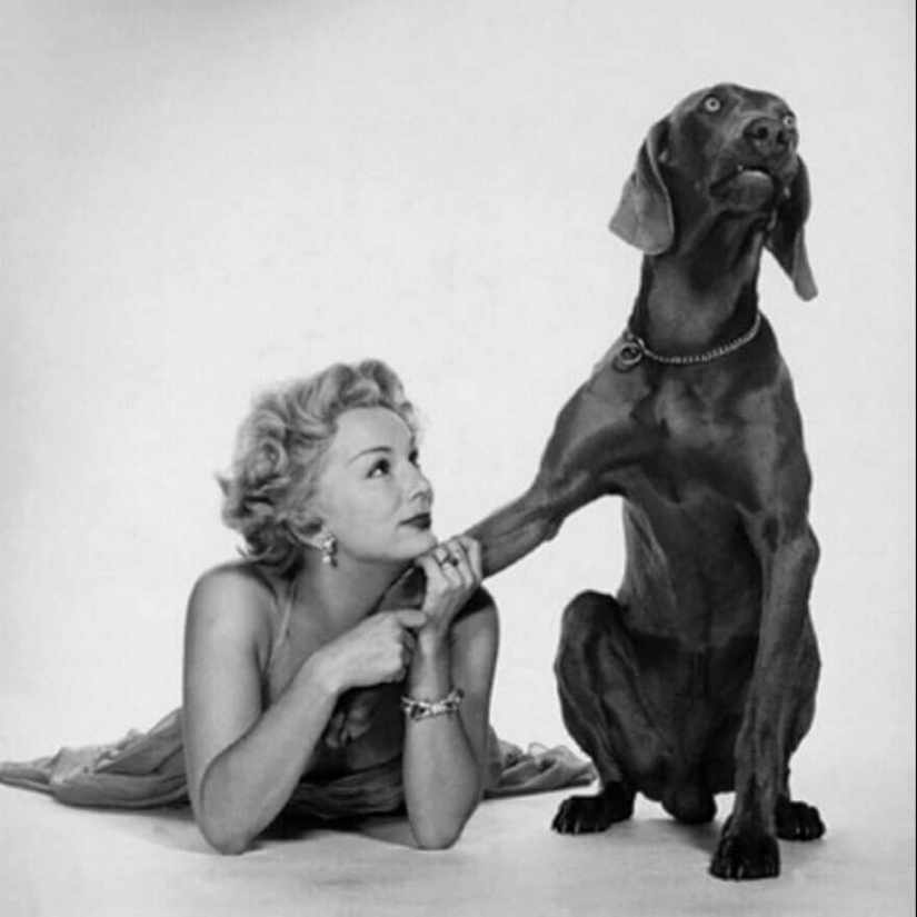 40 retratos de las celebridades más carismáticas del siglo XX por Philip Halsman 40 retratos de las celebridades más carismáticas del siglo XX por Philip Halsman