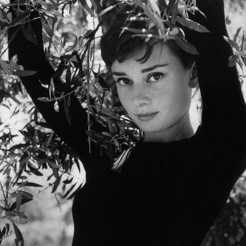 40 retratos de las celebridades más carismáticas del siglo XX por Philip Halsman 40 retratos de las celebridades más carismáticas del siglo XX por Philip Halsman