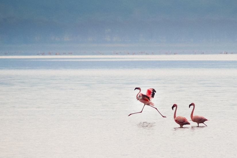 5 most beautiful lakes in the world 5 most beautiful lakes in the world