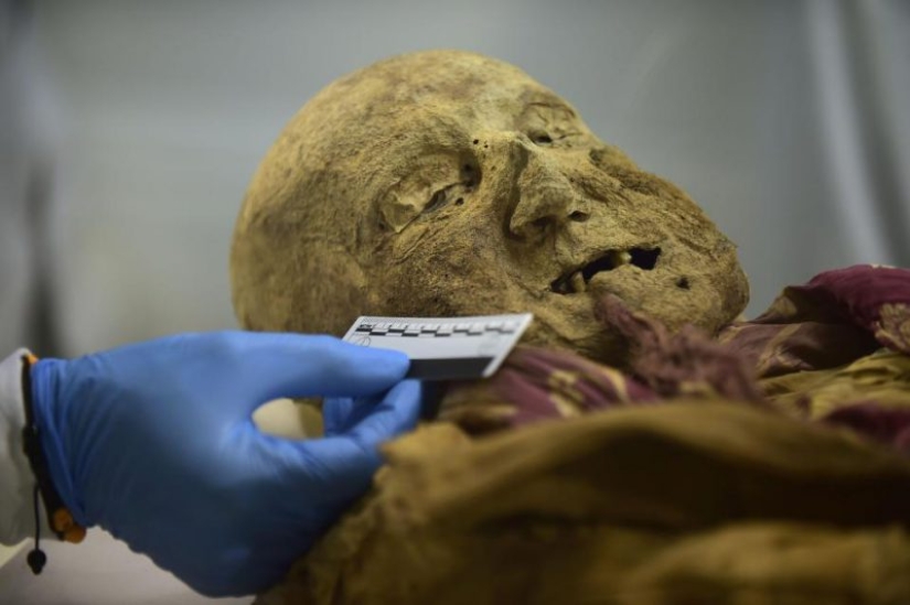 500-year-old mummy of a monk can give the answer to why we suffer from rheumatism 500-year-old mummy of a monk can give the answer to why we suffer from rheumatism