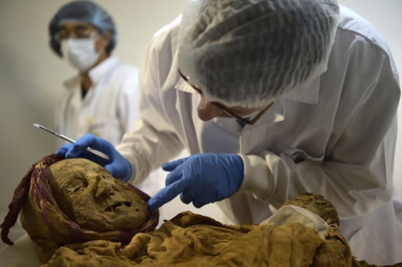 500-year-old mummy of a monk can give the answer to why we suffer from rheumatism 500-year-old mummy of a monk can give the answer to why we suffer from rheumatism