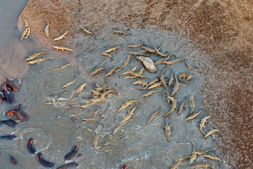 55 aerial photos that our planet is the most beautiful 55 aerial photos that our planet is the most beautiful
