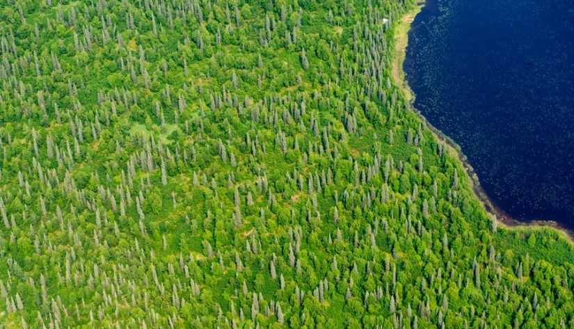 55 aerial photos that our planet is the most beautiful 55 aerial photos that our planet is the most beautiful