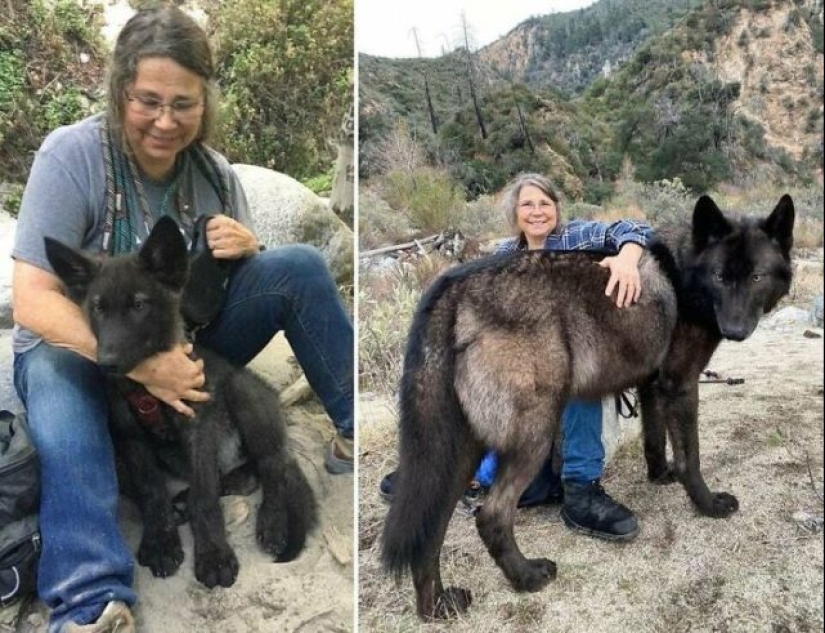 55 fotos impresionantes de cosas fenomenalmente grandes