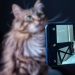 6 rules that will help to make a great portrait on camera phone 6 rules that will help to make a great portrait on camera phone