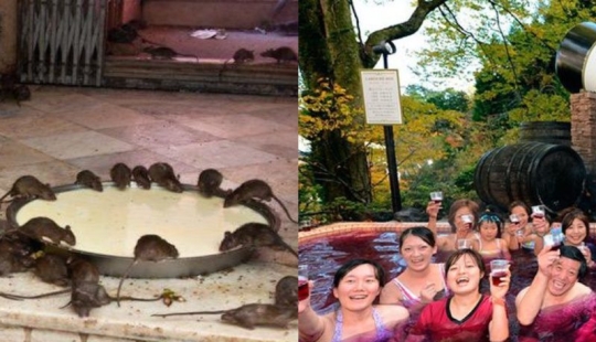6 tourist attractions that not everyone will like 6 tourist attractions that not everyone will like