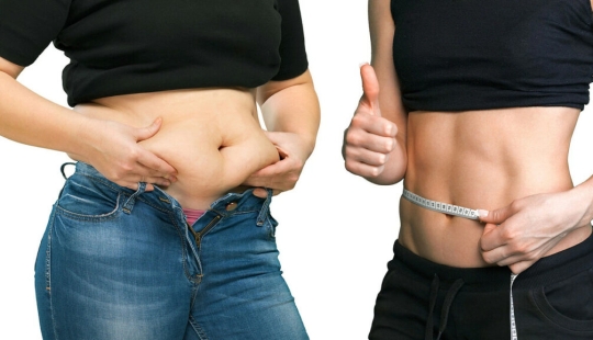 7 datos sobre la grasa abdominal 7 datos sobre la grasa abdominal