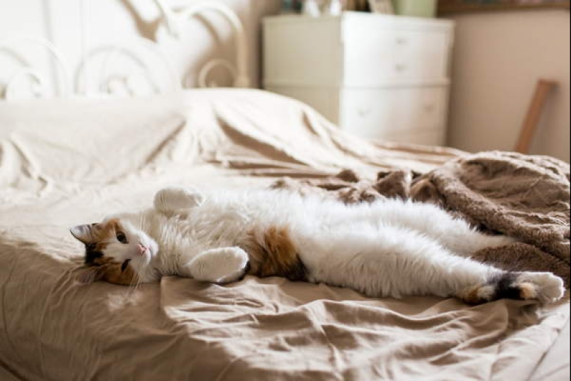 8 dangers lurking at home 8 dangers lurking at home