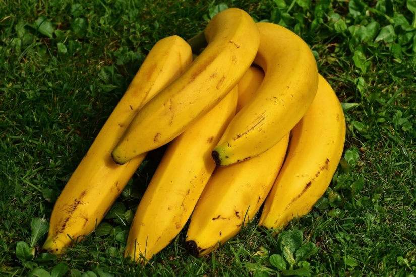 8 foods that should not be consumed if you have a cold 8 foods that should not be consumed if you have a cold