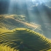 8 Stunning Aerial Photos Of The Vietnamese Landscape By Daniel Kordan 8 Stunning Aerial Photos Of The Vietnamese Landscape By Daniel Kordan