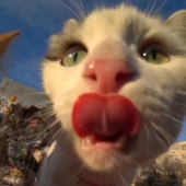 8 Times This Guy Used A Drone And Remote Control Car To Find And Feed Stray Cats