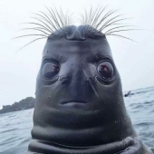 8 Unsettling Pics That Might Immediately Get A “Thanks, I Hate It” Response From You