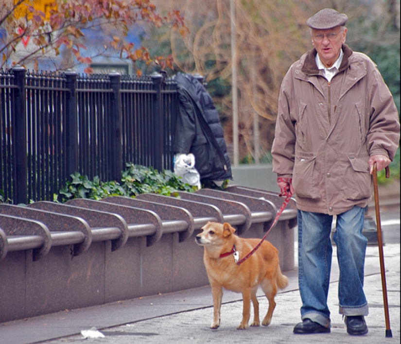 9 hábitos que le ayudarán a vivir hasta los 100 años 9 hábitos que le ayudarán a vivir hasta los 100 años