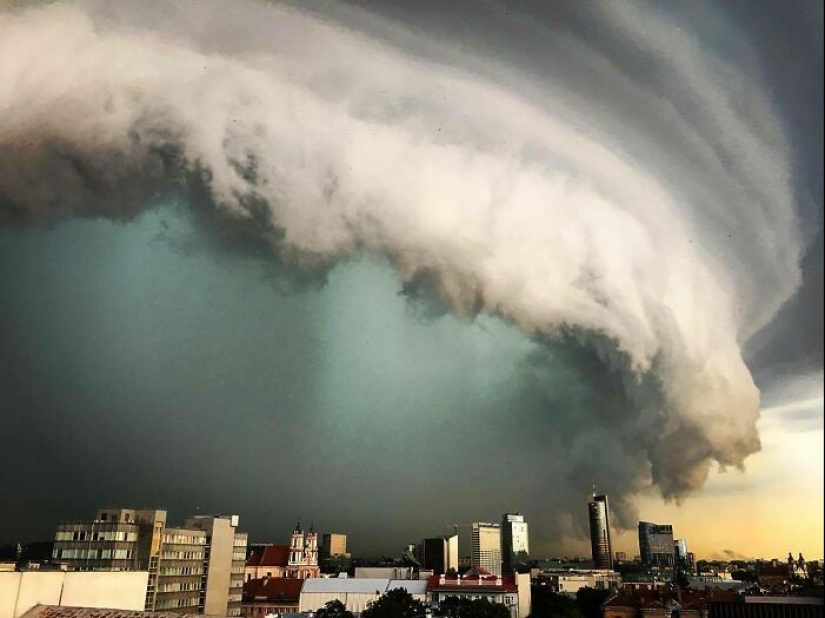“A Cow On A Roof”: 10 Wild Pics Of Mother Nature Doing Things On Its Own Terms