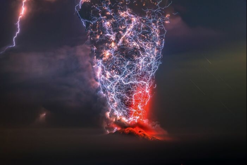 A Decade Of Nature’s Best: 12 Winning Shots From Siena Awards’ “Beauty Of Nature” Category