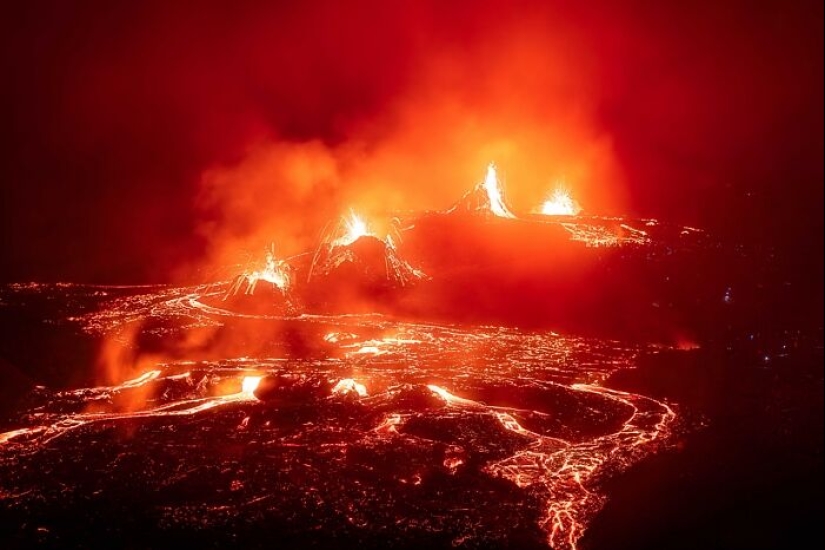 A Decade Of Nature’s Best: 12 Winning Shots From Siena Awards’ “Beauty Of Nature” Category