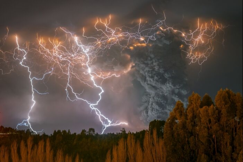 A Decade Of Nature’s Best: 12 Winning Shots From Siena Awards’ “Beauty Of Nature” Category
