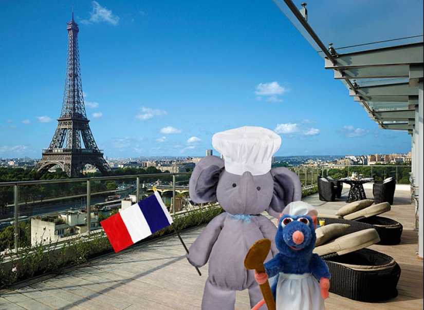 A lost stuffed elephant travels the world A lost stuffed elephant travels the world
