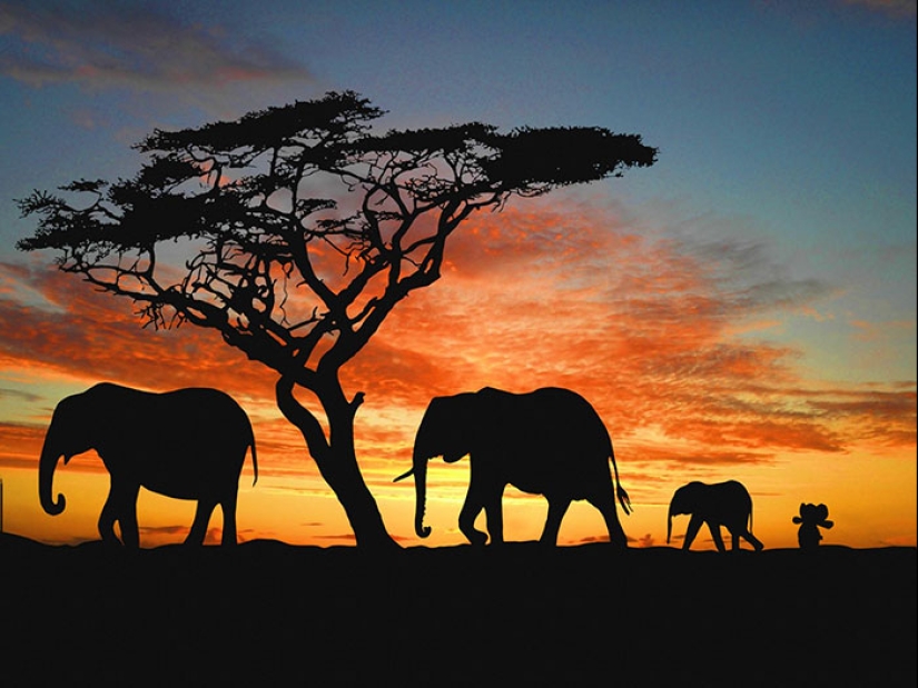 A lost stuffed elephant travels the world A lost stuffed elephant travels the world