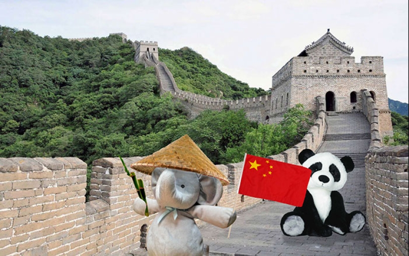 A lost stuffed elephant travels the world A lost stuffed elephant travels the world