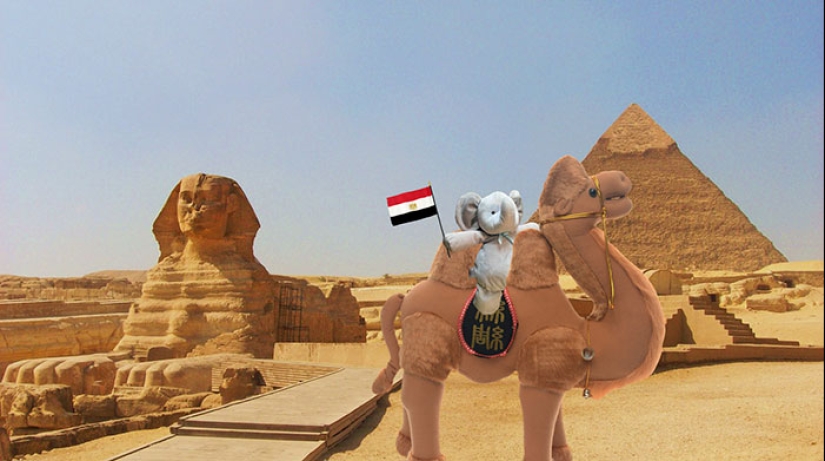 A lost stuffed elephant travels the world A lost stuffed elephant travels the world