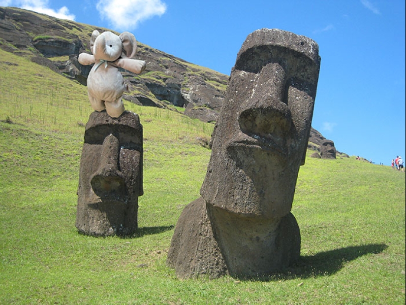 A lost stuffed elephant travels the world A lost stuffed elephant travels the world