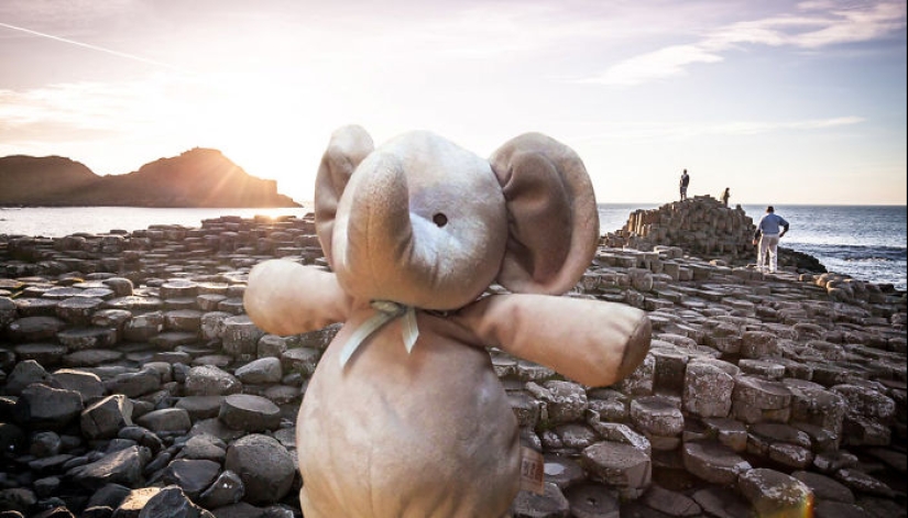 A lost stuffed elephant travels the world A lost stuffed elephant travels the world